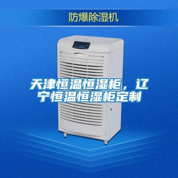 天津恒溫恒濕柜，遼寧恒溫恒濕柜定制