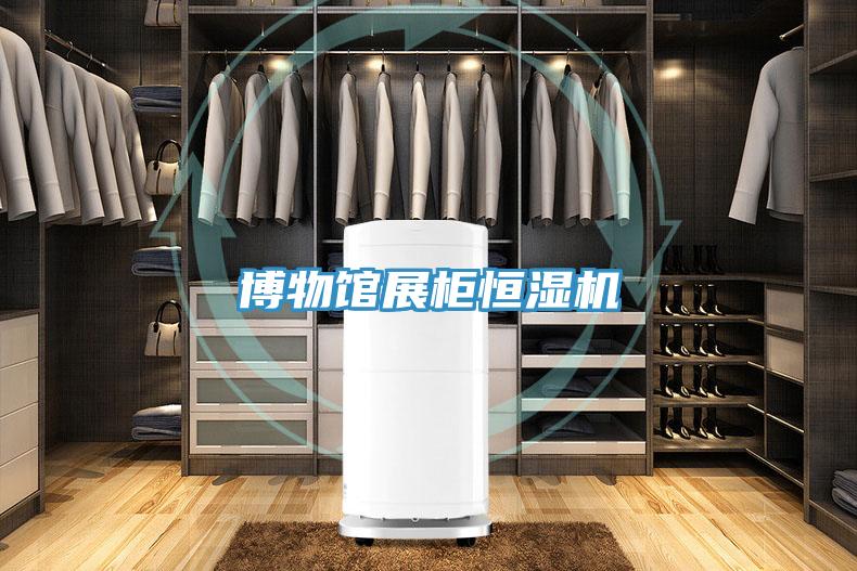 博物館展柜恒濕機(jī)