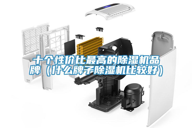 十個性價比最高的除濕機品牌（什么牌子除濕機比較好）