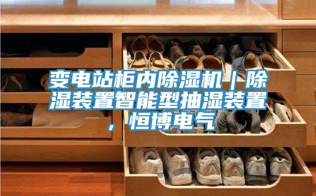 變電站柜內除濕機｜除濕裝置智能型抽濕裝置，恒博電氣