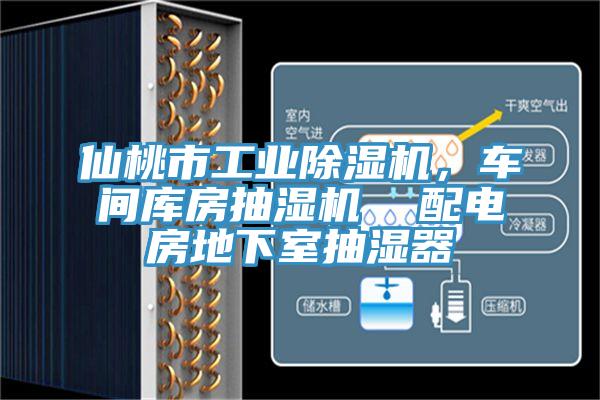 仙桃市工業(yè)除濕機(jī)，車間庫房抽濕機(jī)  配電房地下室抽濕器