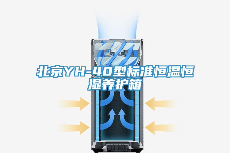 北京YH-40型標準恒溫恒濕養(yǎng)護箱