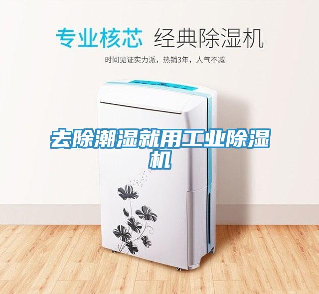 去除潮濕就用工業除濕機