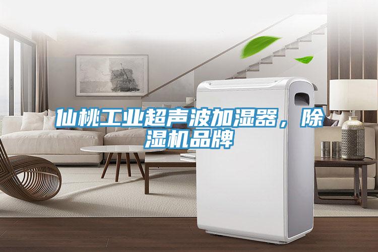 仙桃工業(yè)超聲波加濕器，除濕機(jī)品牌