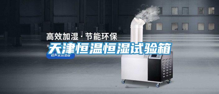 天津恒溫恒濕試驗箱