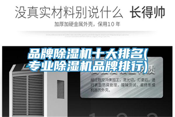 品牌除濕機十大排名(專業除濕機品牌排行)