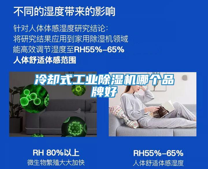 冷卻式工業(yè)除濕機哪個品牌好