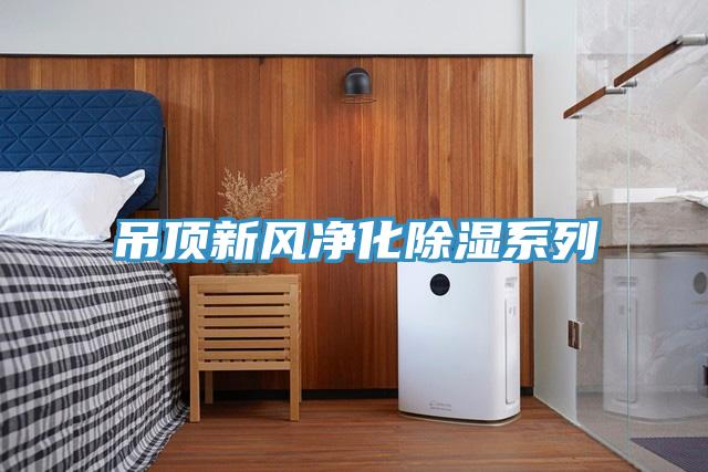 吊頂新風凈化除濕系列