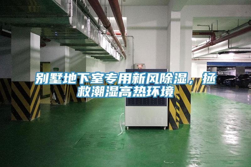 別墅地下室專用新風(fēng)除濕，拯救潮濕高熱環(huán)境