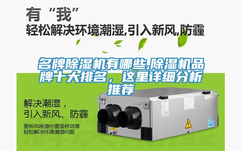 名牌除濕機(jī)有哪些,除濕機(jī)品牌十大排名，這里詳細(xì)分析推薦
