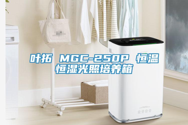 葉拓 MGC-250P 恒溫恒濕光照培養(yǎng)箱