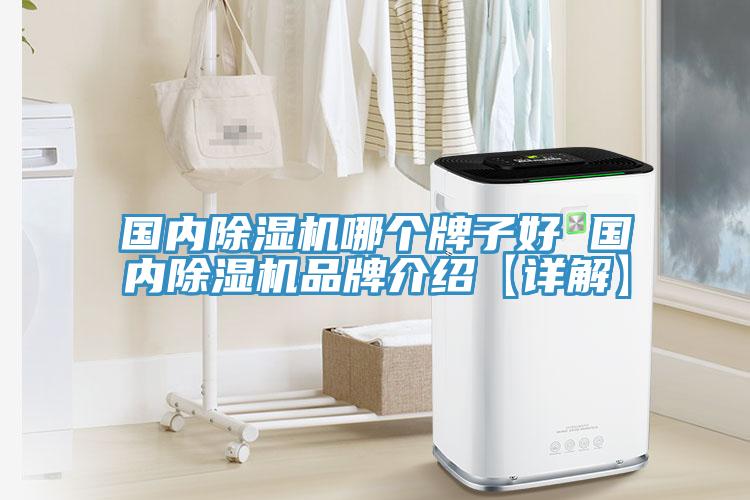國內除濕機哪個牌子好 國內除濕機品牌介紹【詳解】