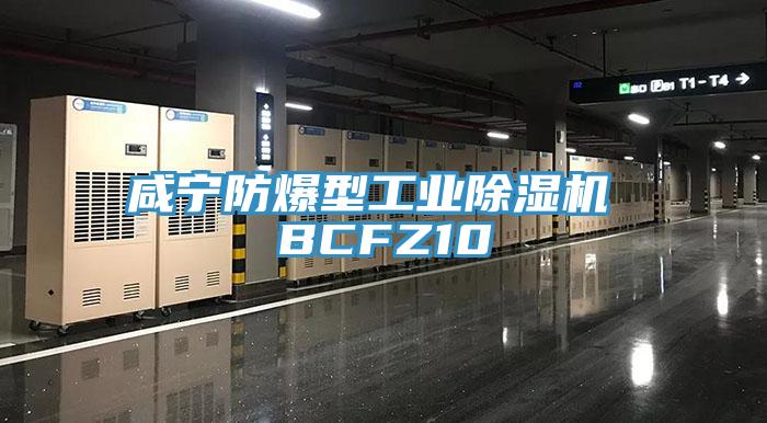 咸寧防爆型工業除濕機 BCFZ10