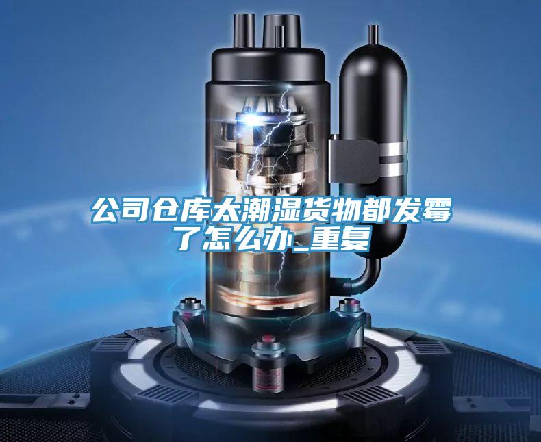 公司倉庫太潮濕貨物都發霉了怎么辦_重復