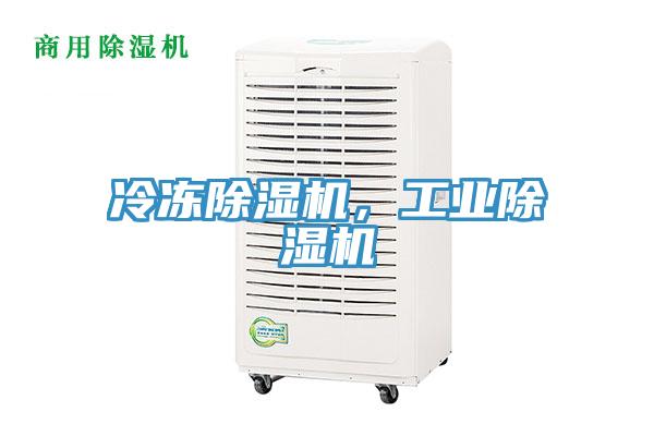 冷凍除濕機，工業(yè)除濕機