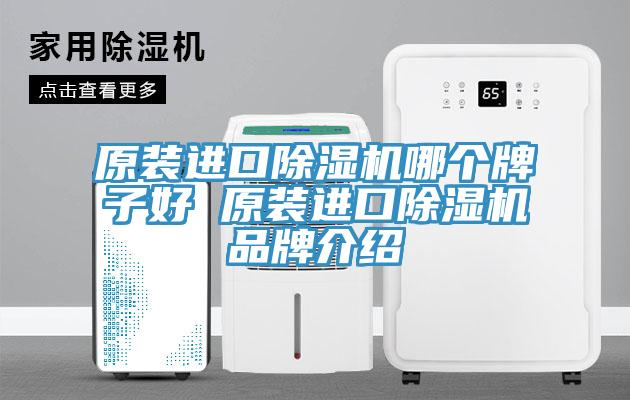 原裝進(jìn)口除濕機(jī)哪個(gè)牌子好 原裝進(jìn)口除濕機(jī)品牌介紹