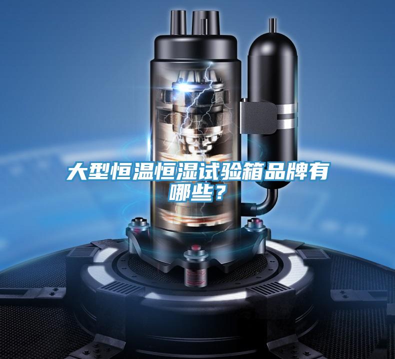 大型恒溫恒濕試驗箱品牌有哪些?
