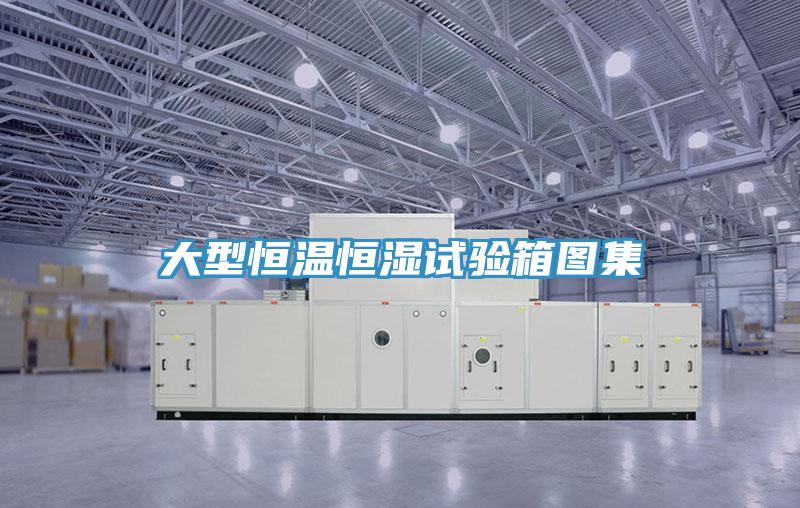 大型恒溫恒濕試驗箱圖集