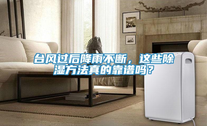 臺風過后降雨不斷，這些除濕方法真的靠譜嗎？