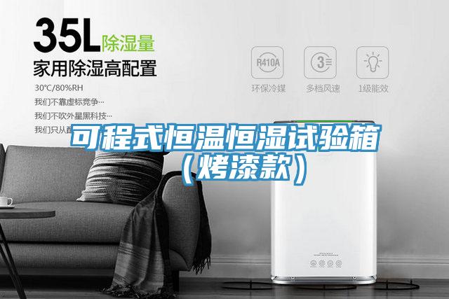 可程式恒溫恒濕試驗箱(烤漆款)