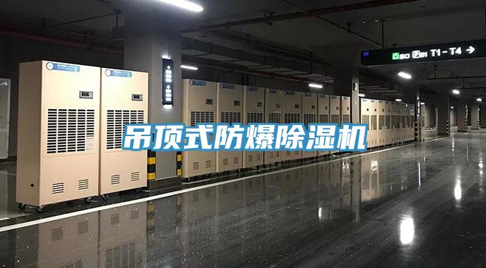 吊頂式防爆除濕機
