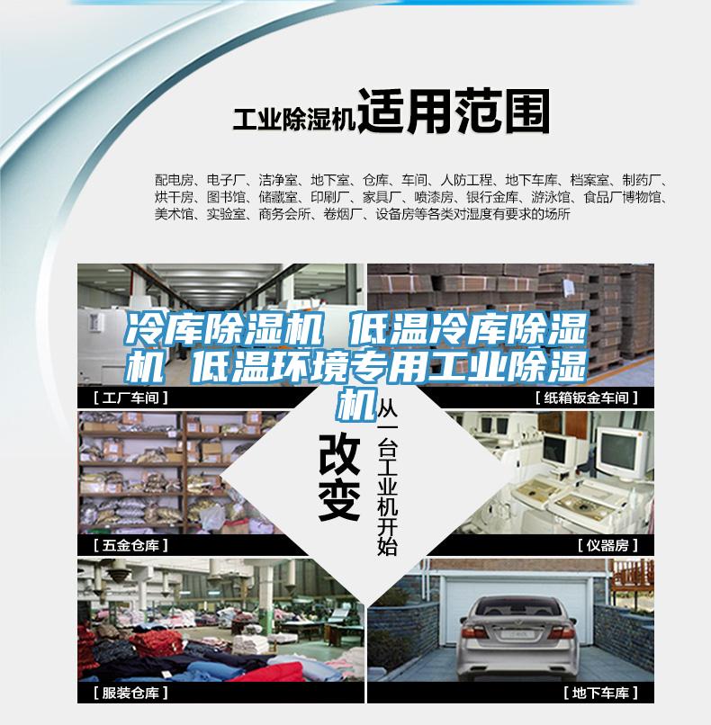 冷庫除濕機 低溫冷庫除濕機 低溫環境專用工業除濕機