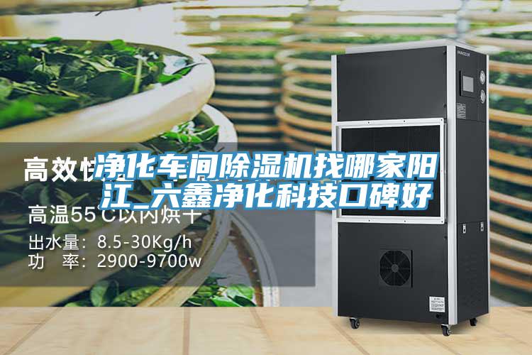 凈化車間除濕機(jī)找哪家陽(yáng)江_六鑫凈化科技口碑好