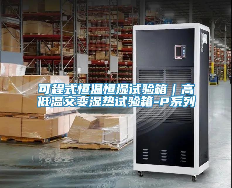 可程式恒溫恒濕試驗箱|高低溫交變濕熱試驗箱-P系列