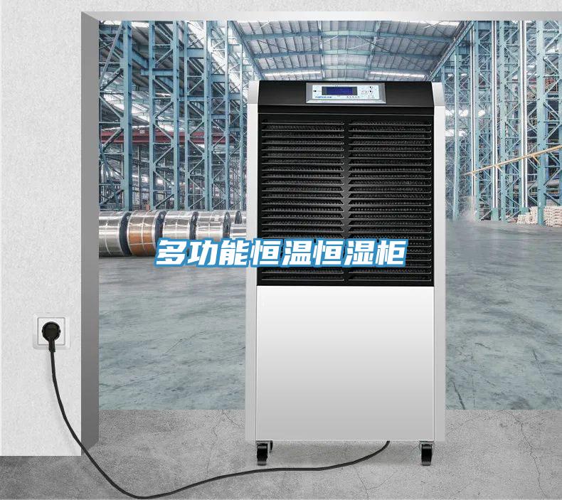 多功能恒溫恒濕柜