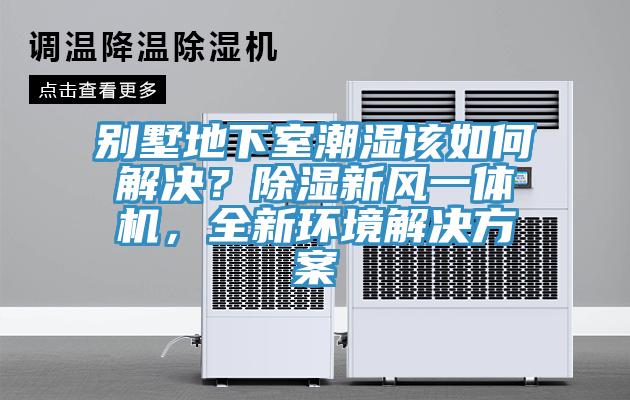 別墅地下室潮濕該如何解決？除濕新風(fēng)一體機(jī)，全新環(huán)境解決方案