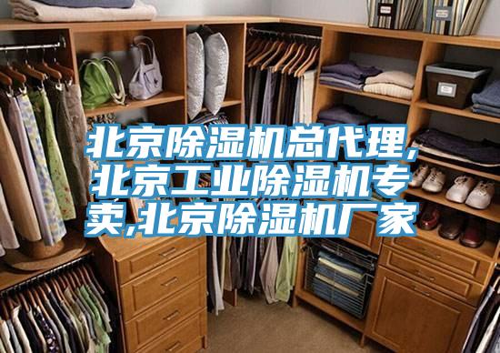 北京除濕機總代理,北京工業(yè)除濕機專賣,北京除濕機廠家