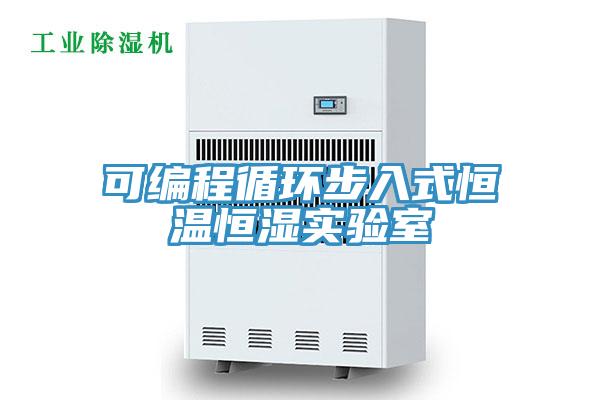可編程循環步入式恒溫恒濕實驗室