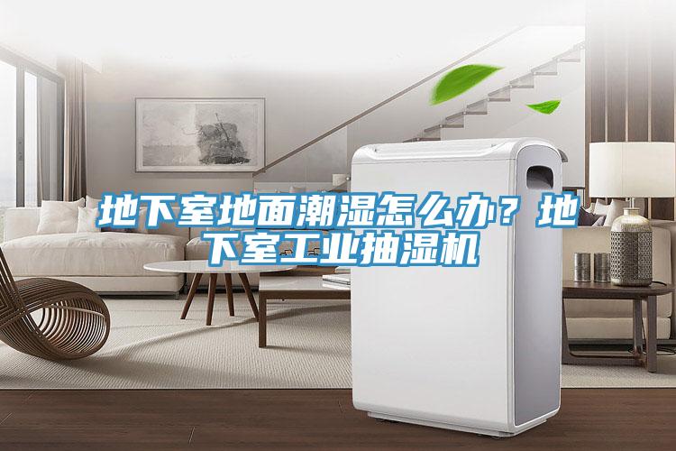 地下室地面潮濕怎么辦？地下室工業(yè)抽濕機