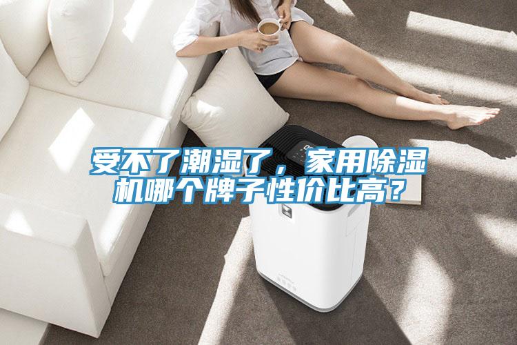 受不了潮濕了，家用除濕機哪個牌子性價比高？