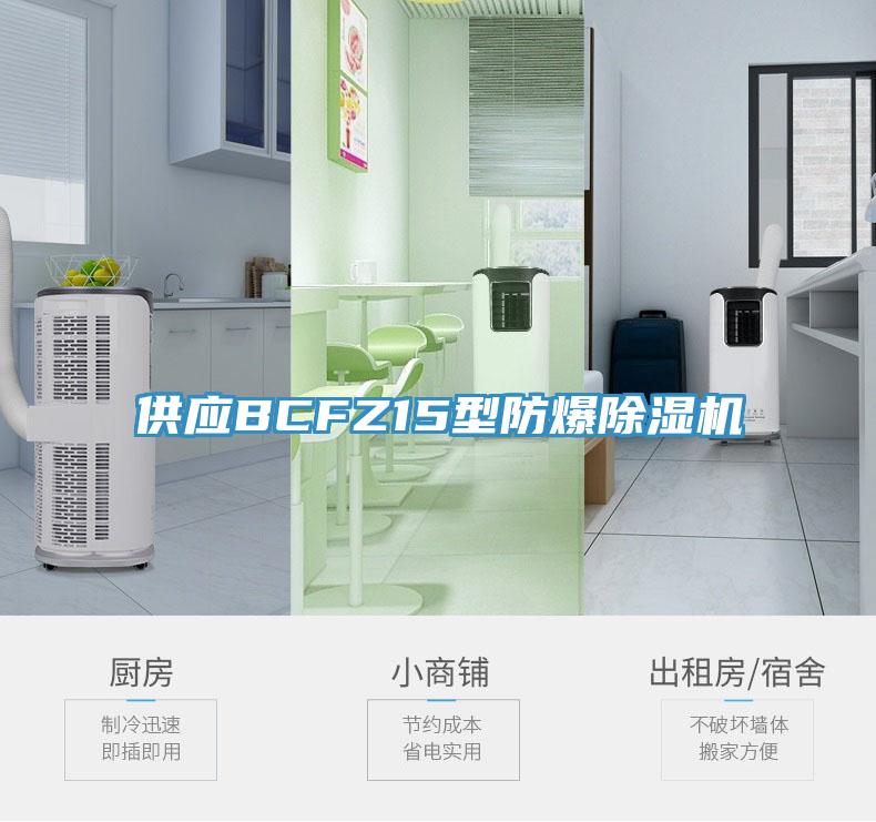 供應(yīng)BCFZ15型防爆除濕機