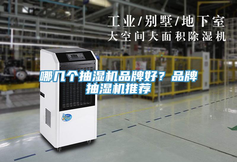 哪幾個抽濕機品牌好？品牌抽濕機推薦