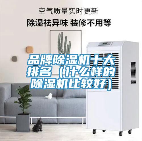 品牌除濕機十大排名（什么樣的除濕機比較好）
