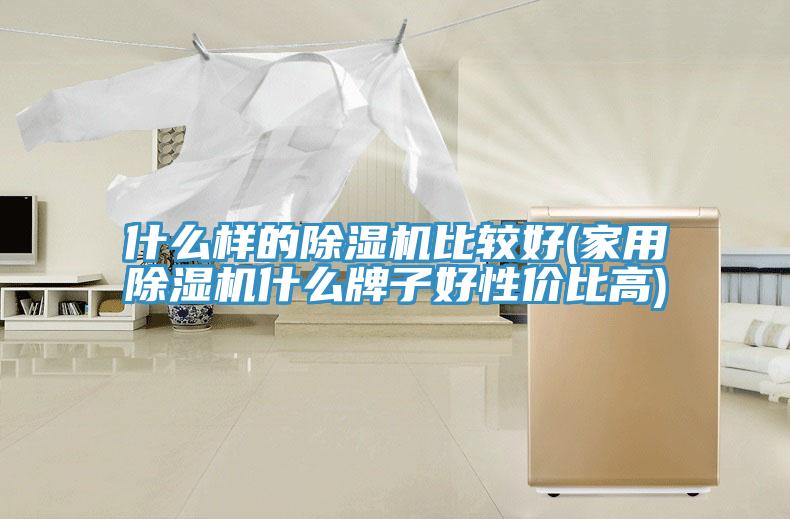什么樣的除濕機(jī)比較好(家用除濕機(jī)什么牌子好性價比高)