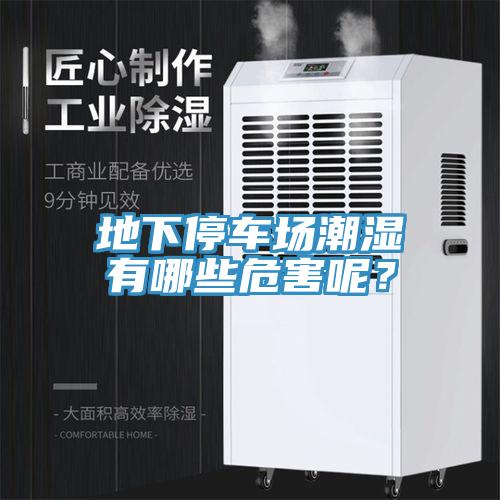 地下停車場潮濕有哪些危害呢？