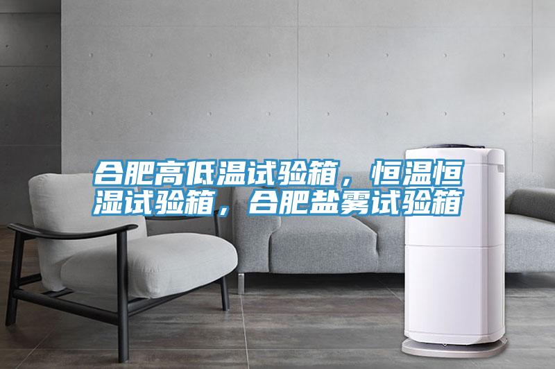 合肥高低溫試驗箱，恒溫恒濕試驗箱，合肥鹽霧試驗箱