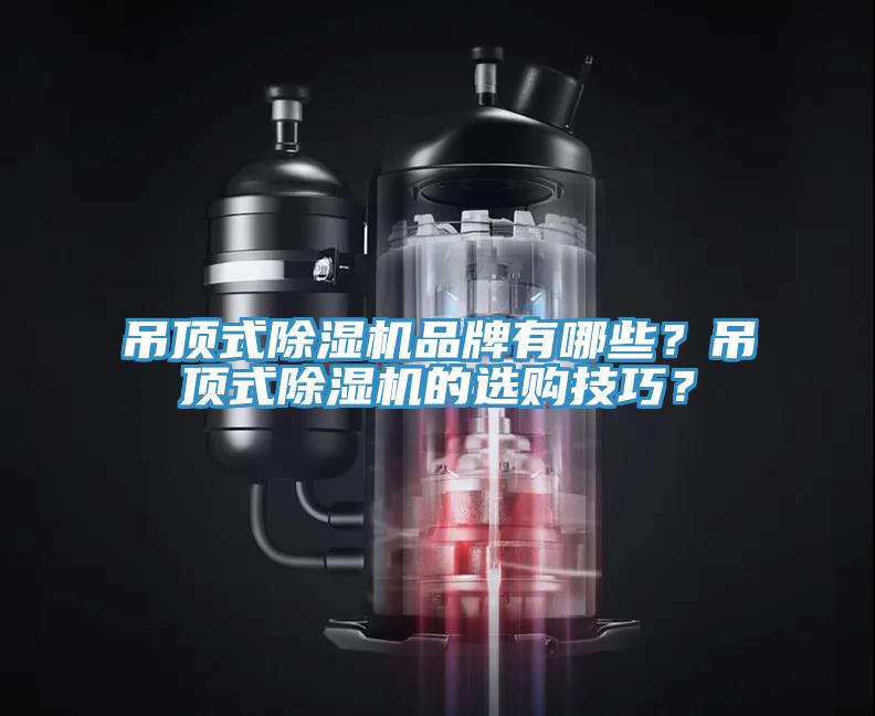 吊頂式除濕機品牌有哪些？吊頂式除濕機的選購技巧？