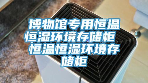 博物館專用恒溫恒濕環境存儲柜 恒溫恒濕環境存儲柜