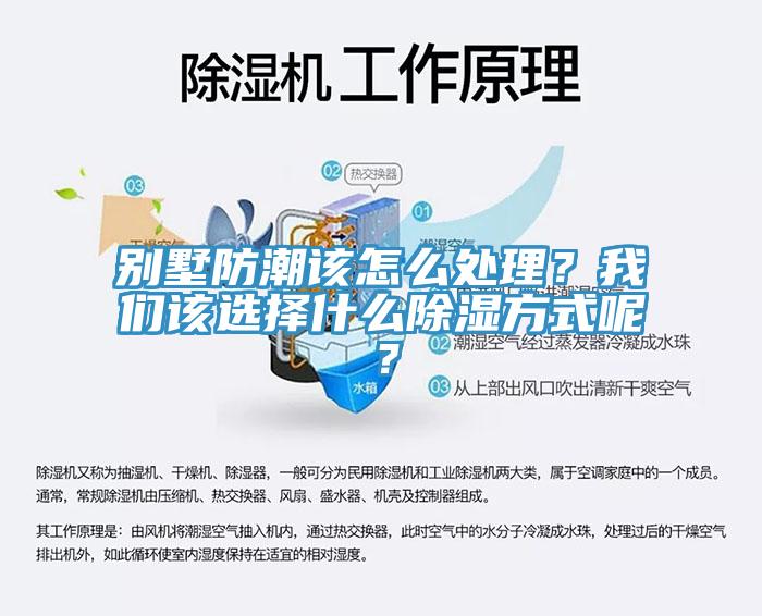 別墅防潮該怎么處理？我們該選擇什么除濕方式呢？