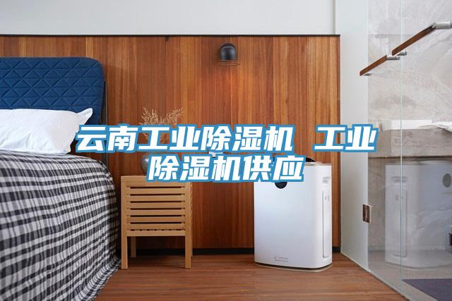 云南工業除濕機 工業除濕機供應