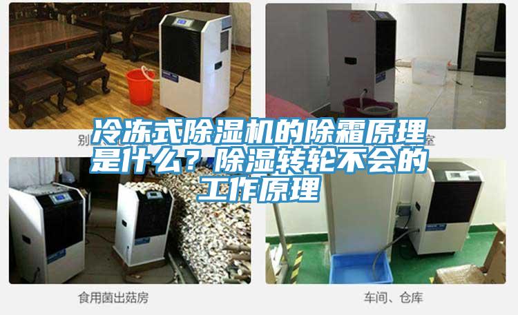 冷凍式除濕機的除霜原理是什么？除濕轉(zhuǎn)輪不會的工作原理