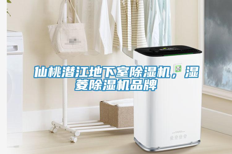 仙桃潛江地下室除濕機，濕菱除濕機品牌