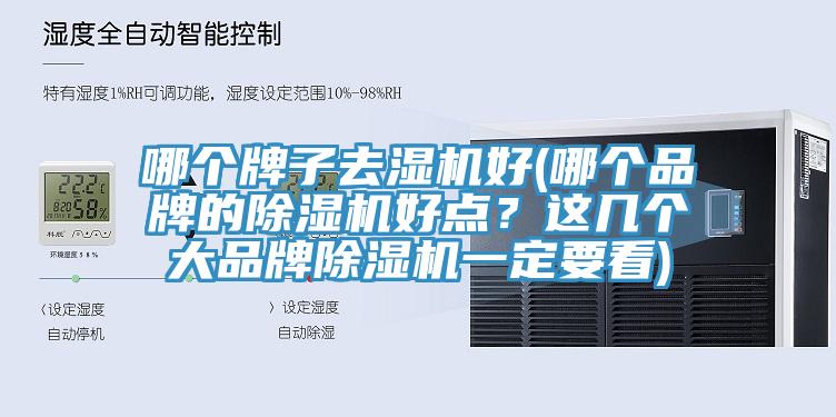 哪個牌子去濕機好(哪個品牌的除濕機好點？這幾個大品牌除濕機一定要看)