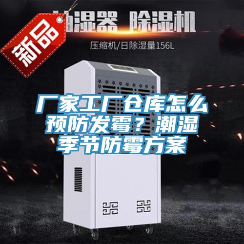 廠家工廠倉庫怎么預(yù)防發(fā)霉？潮濕季節(jié)防霉方案