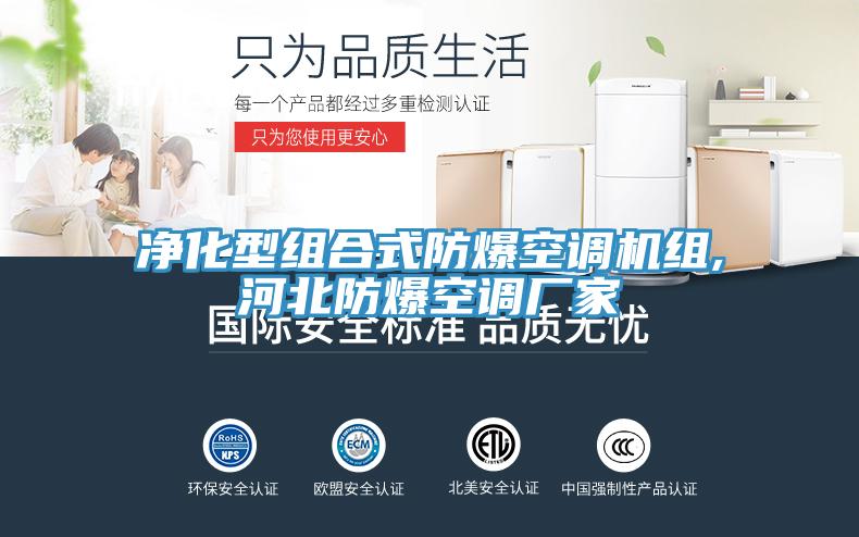 凈化型組合式防爆空調(diào)機(jī)組,河北防爆空調(diào)廠家