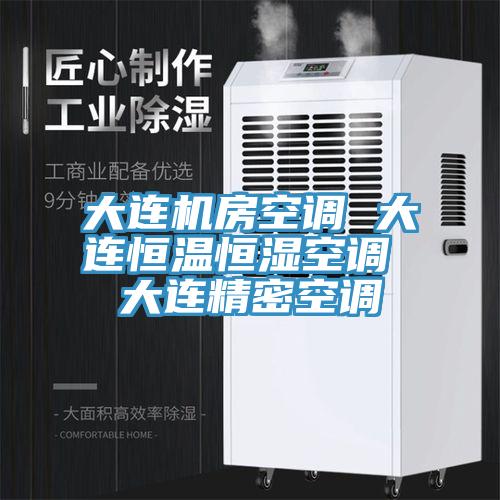 大連機(jī)房空調(diào) 大連恒溫恒濕空調(diào) 大連精密空調(diào)